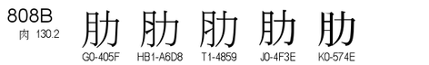 U+808B